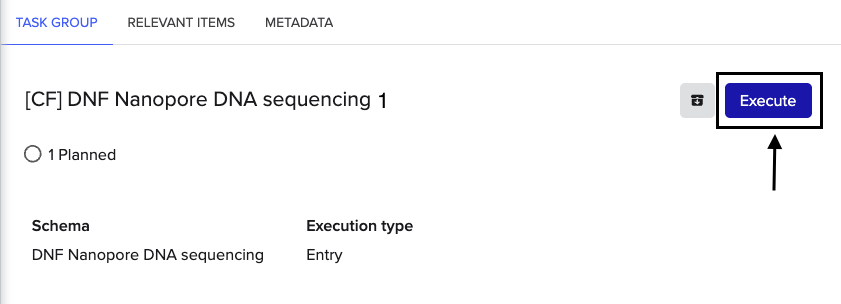 execute workflow