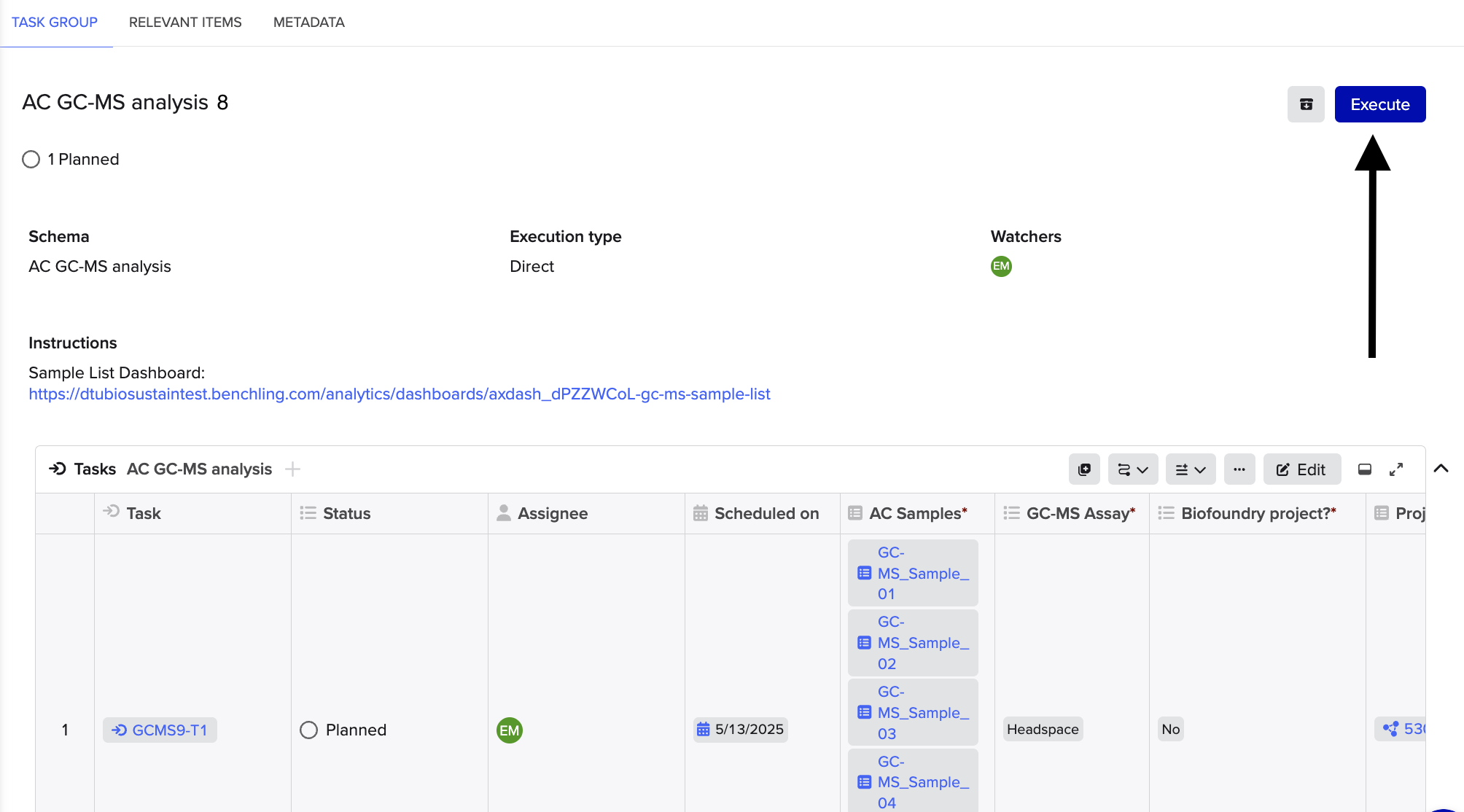 execute workflow