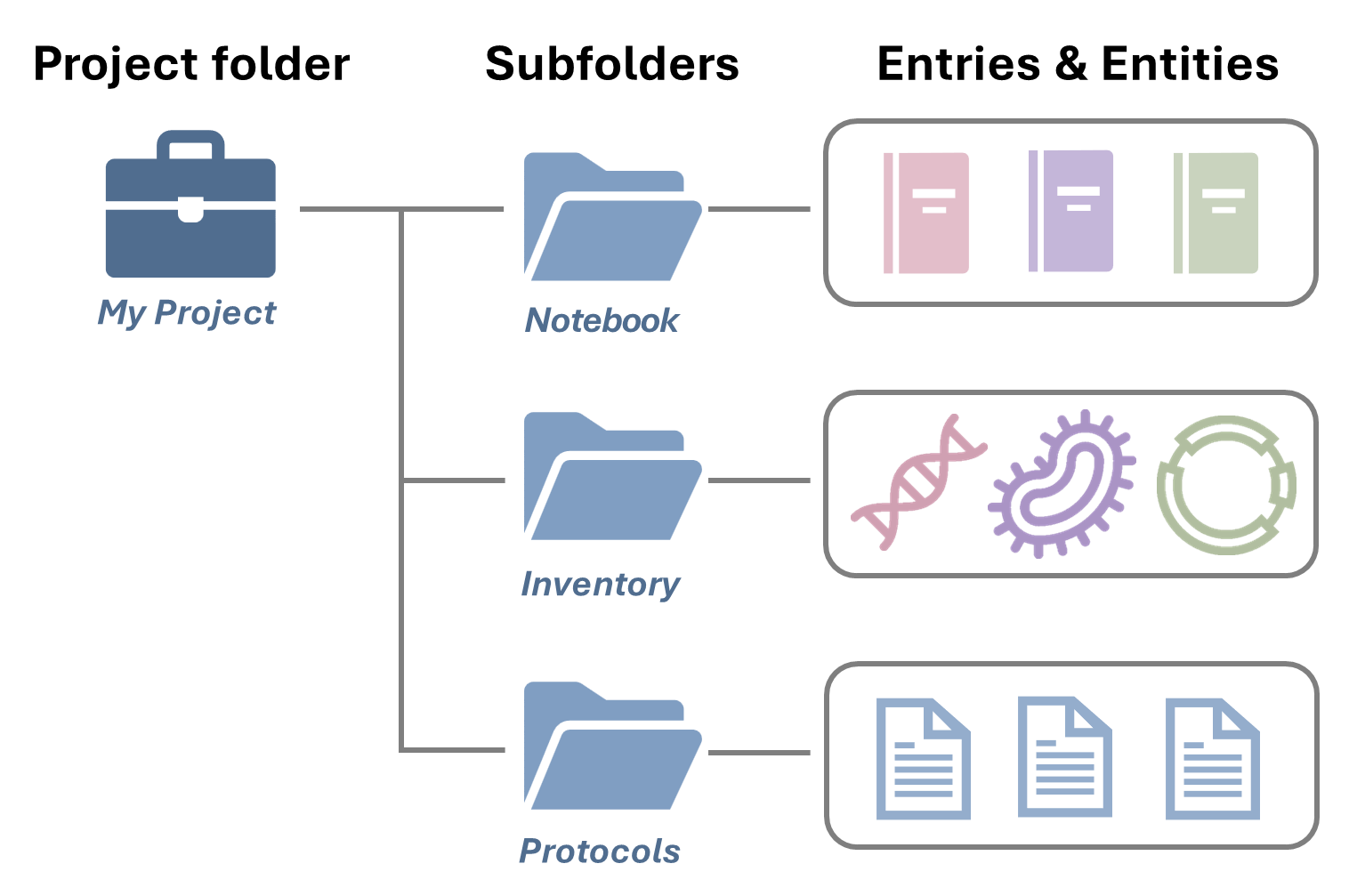 ../_images/projects1-project-structure.png
